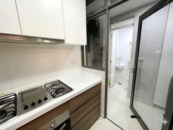 The Topiary (D28), Condominium #555433481